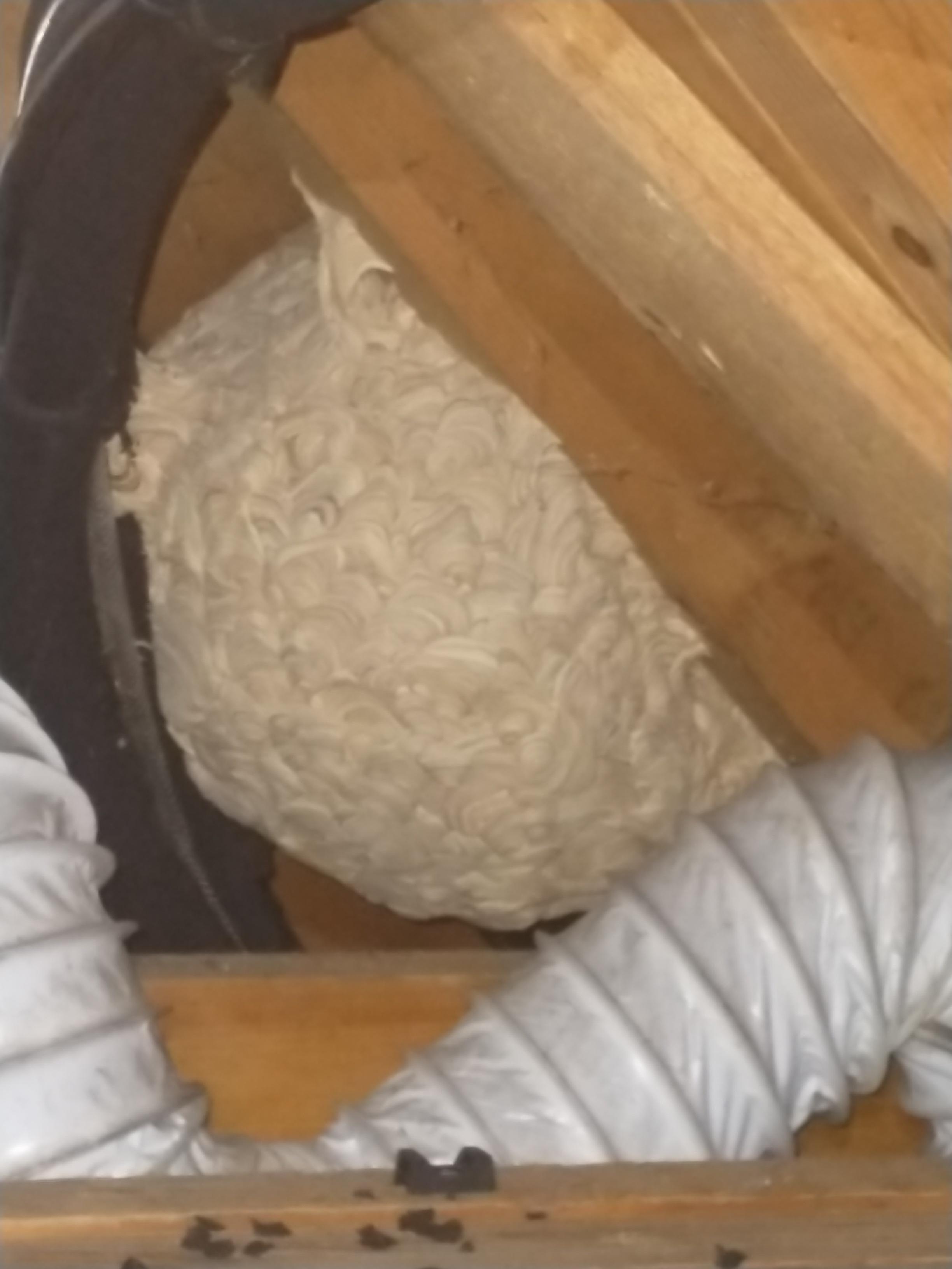 How not to fit extractor fan ducting